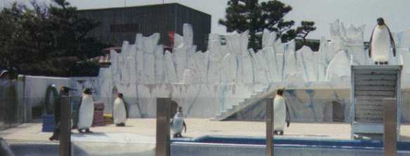 Matsusima Sea Zoo